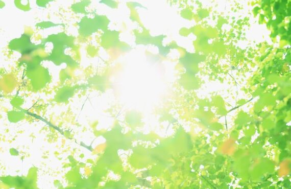 春日井市で疲れを解消したい人へ！疲れの原因を整体で改善！|勝川整体サロン　エール